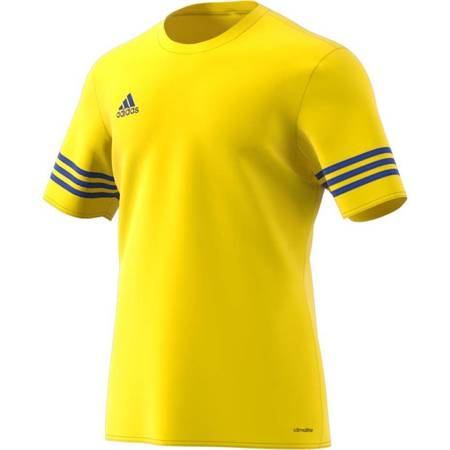Koszulka adidas Entrada 14 żółto-niebieska F50489