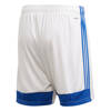Spodenki męskie adidas Tastigo 19 Shorts biało-niebieskie FL7789